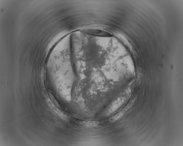 X0000087360952200705181148