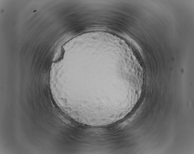 X0000087360953200705181148