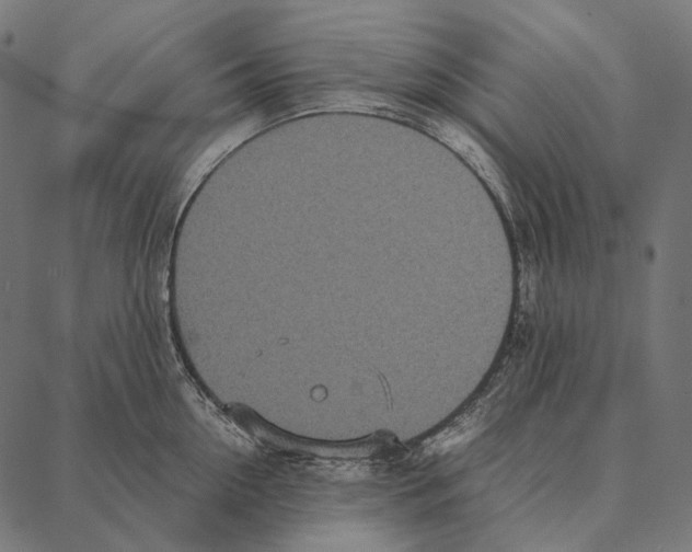 X0000087360954200705181148