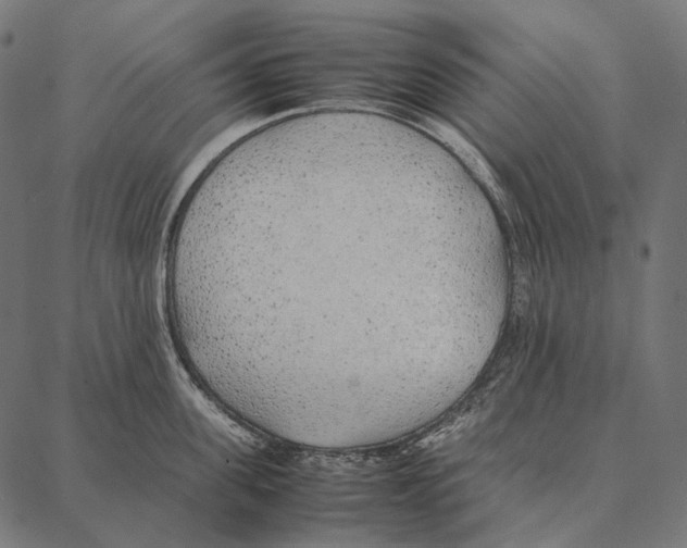 X0000087360955200705181148