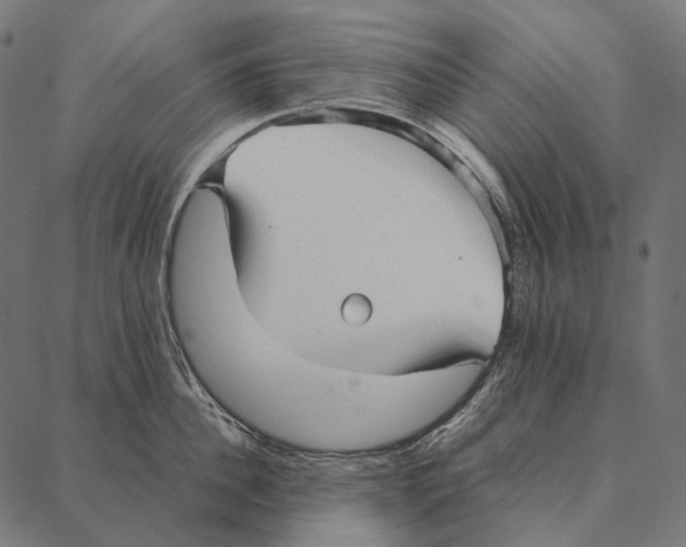 X0000087360956200705181148