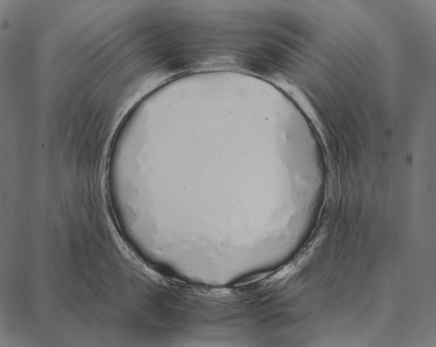 X0000087360957200705181148