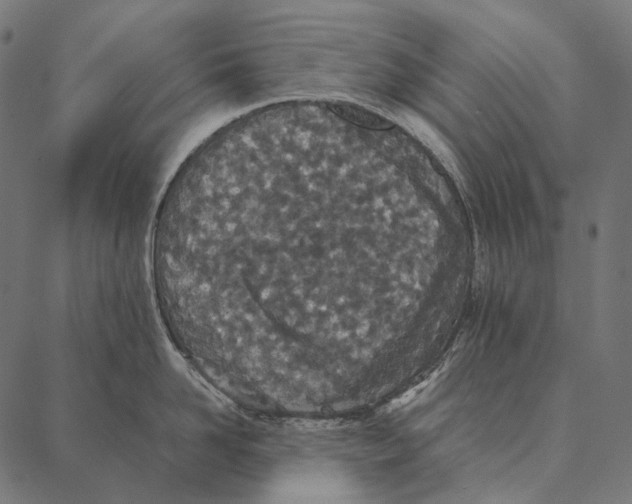 X0000087360958200705181148