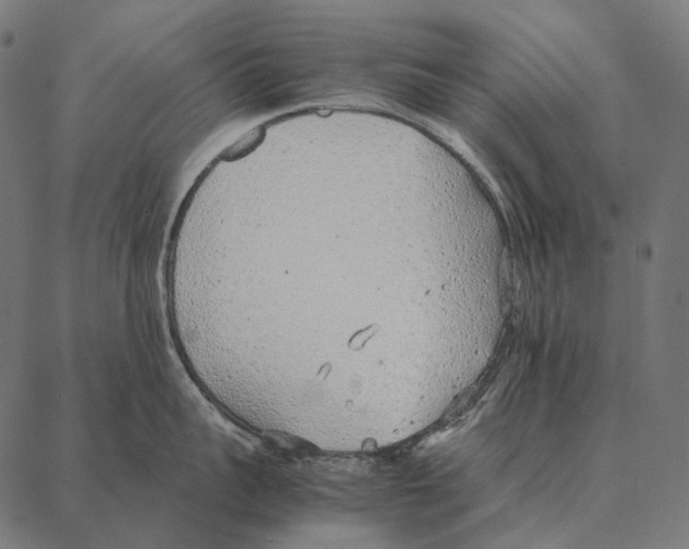 X0000087360959200705181148