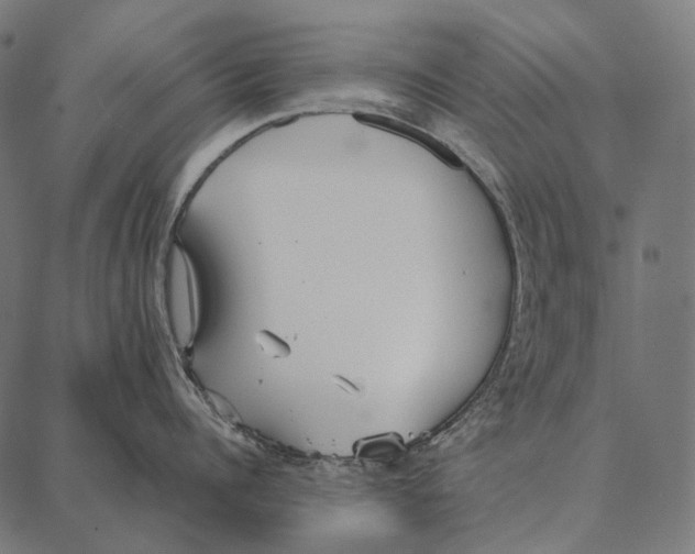 X0000087360960200705181148