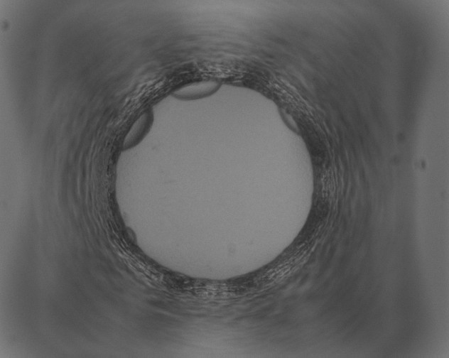 X0000087360961200705181147