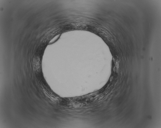 X0000087360963200705181147