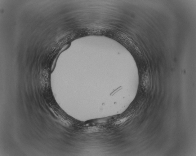 X0000087360964200705181147