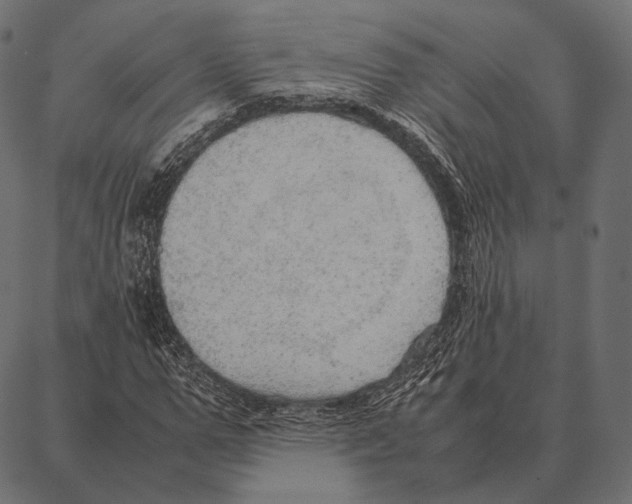 X0000087360967200705181147