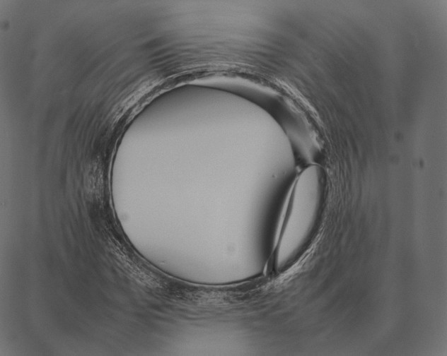 X0000087360969200705181147