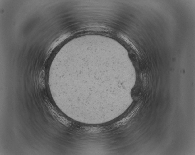 X0000087360970200705181147