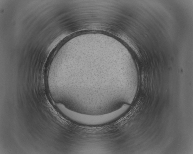 X0000087360972200705181147