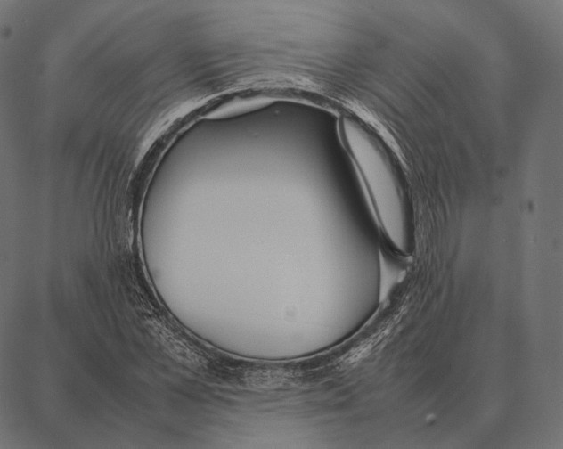 X0000087360973200705181147