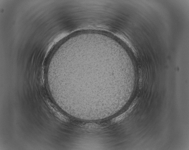 X0000087360974200705181147