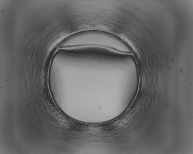 X0000087360975200705181147