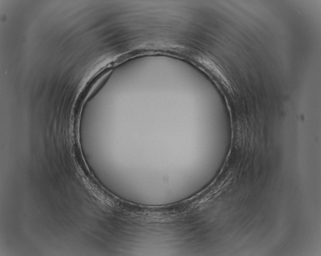 X0000087360976200705181147