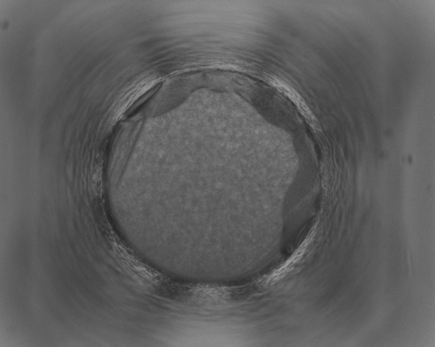 X0000087360977200705181147