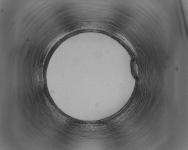 X0000087360980200705181147