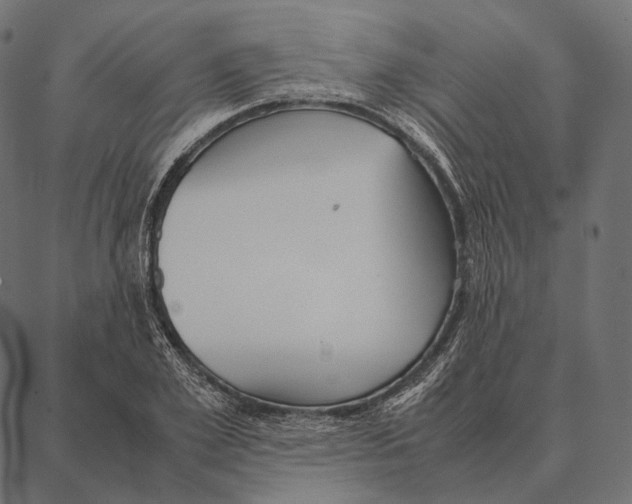 X0000087360981200705181147