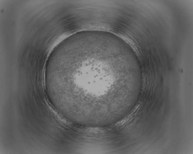 X0000087360982200705181147