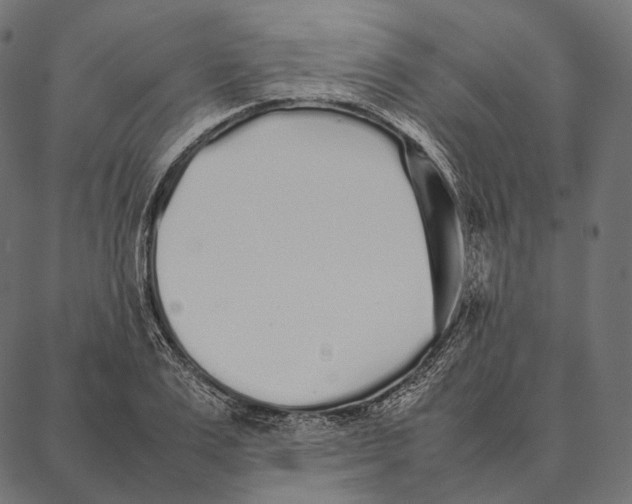 X0000087360983200705181147