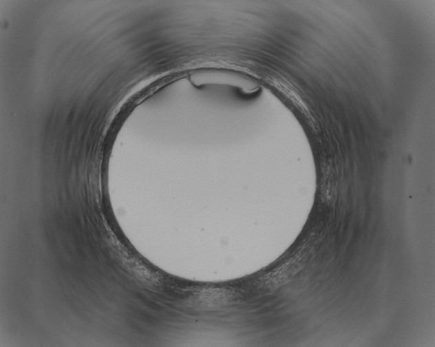 X0000087360984200705181147