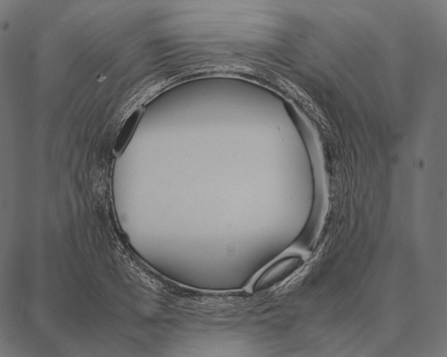 X0000087360985200705181147