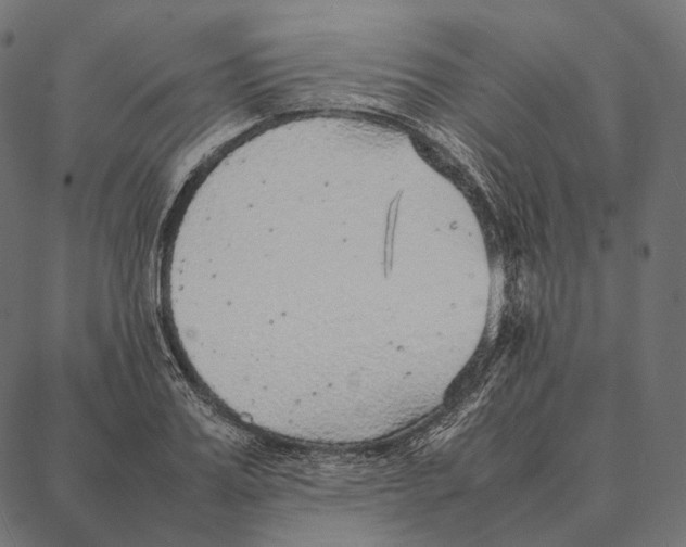 X0000087360987200705181147