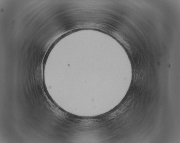 X0000087360988200705181147