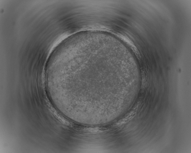 X0000087360990200705181147