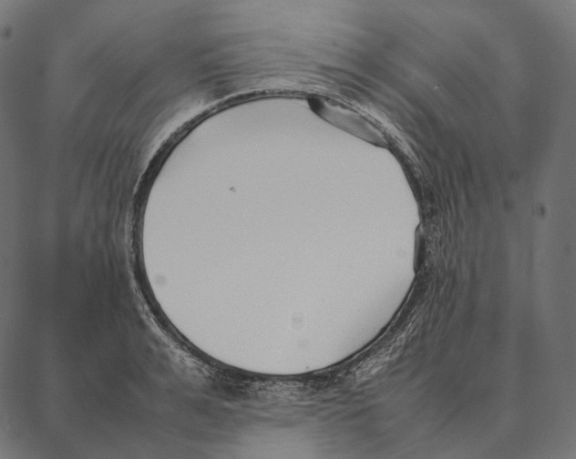 X0000087360991200705181147