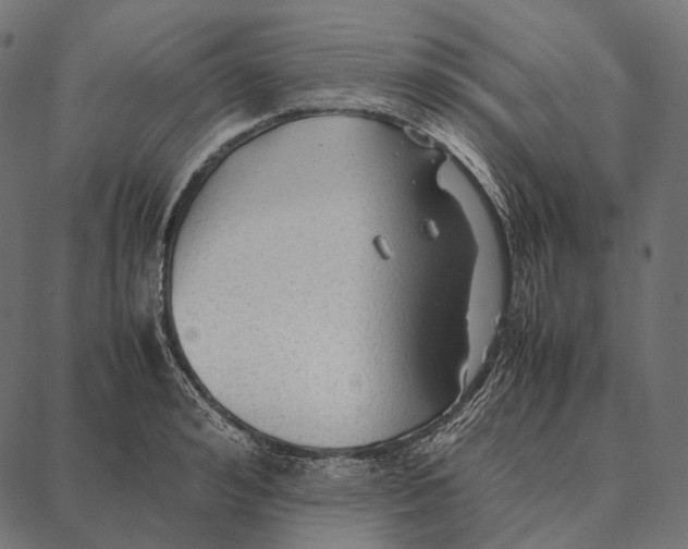 X0000087360992200705181147