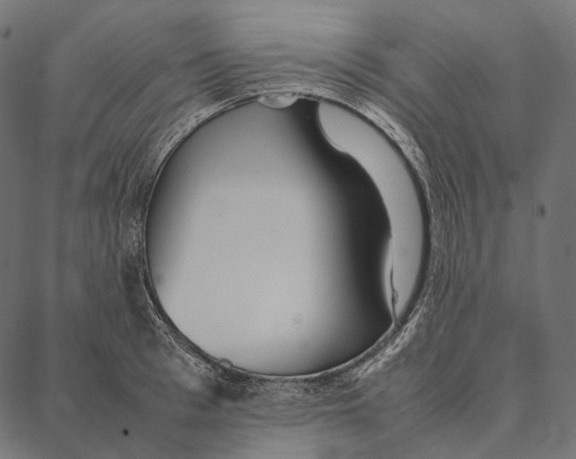 X0000087360993200705181147