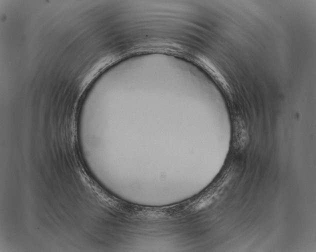 X0000087360994200705181147