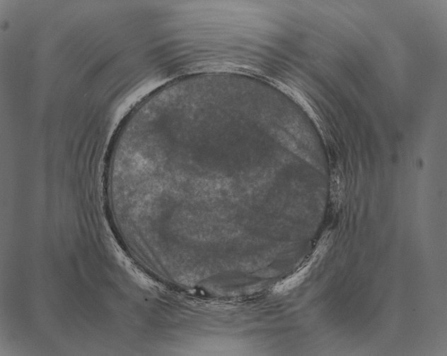 X0000087360995200705181147