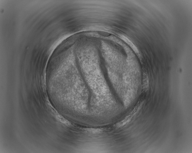 X0000087360996200705181147