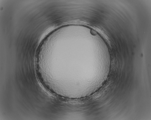 X0000087360998200705181147