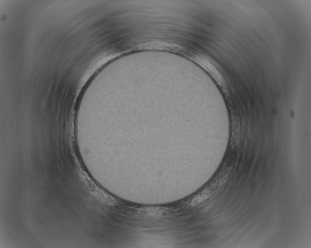 X0000087361000200705181147