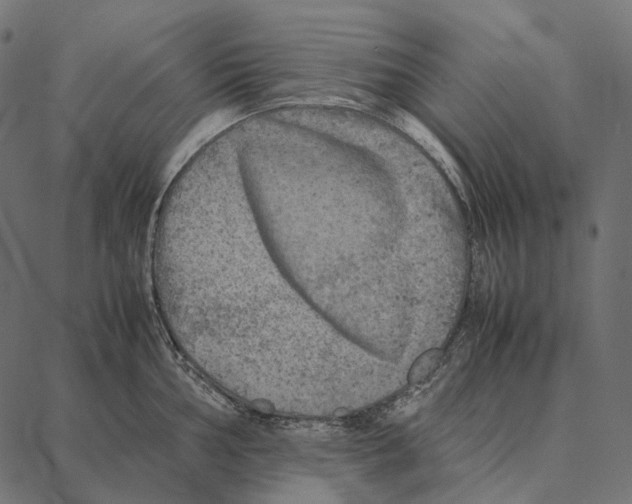 X0000087361002200705181147