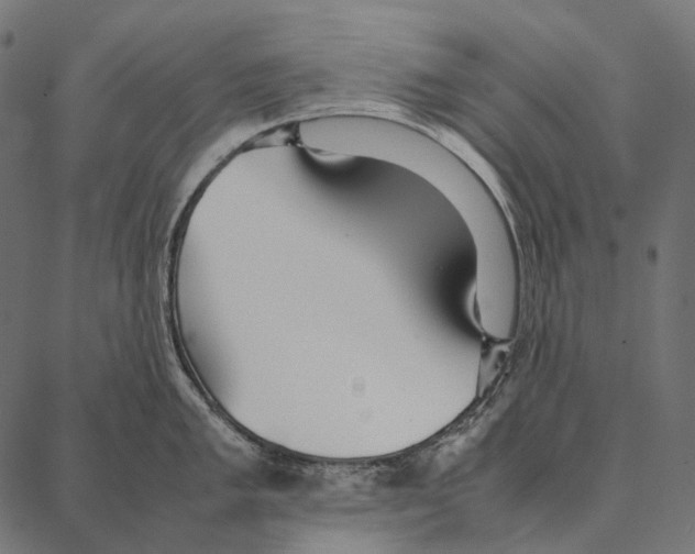 X0000087361005200705181147