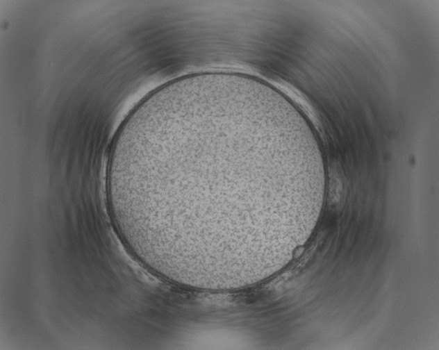 X0000087361006200705181147