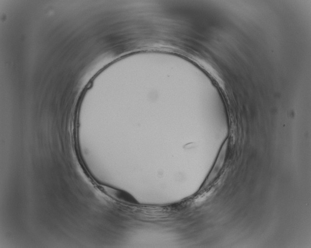 X0000087361007200705181147