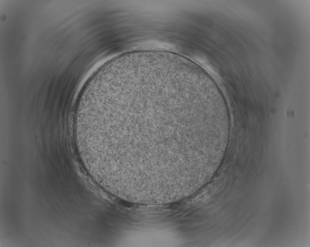 X0000087361008200705181147