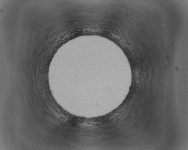 X0000087361009200705181146