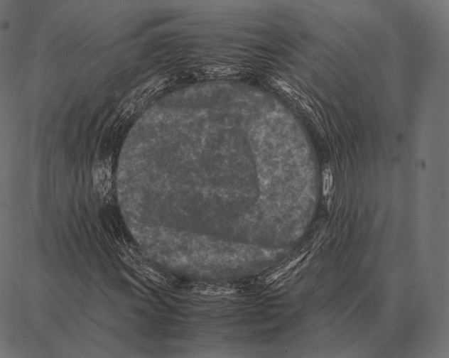 X0000087361011200705181146