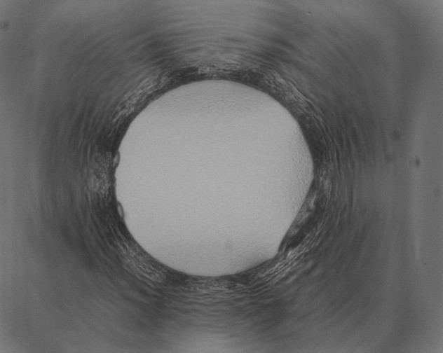 X0000087361012200705181146