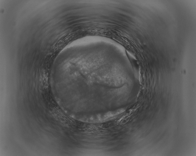 X0000087361013200705181146