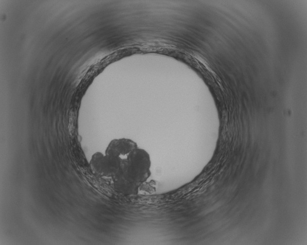 X0000087361016200705181146