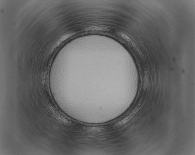 X0000087361017200705181146