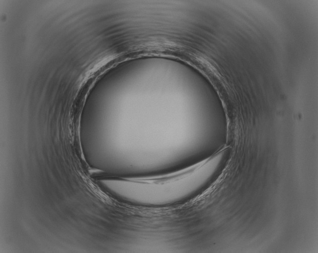 X0000087361018200705181146